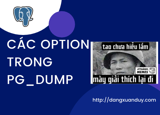 Các option trong pg_dump