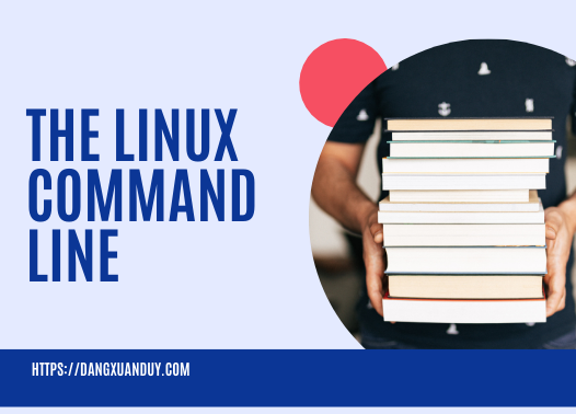 The linux command line