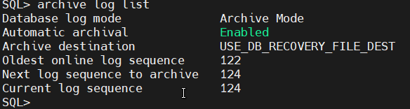 check archive log location
