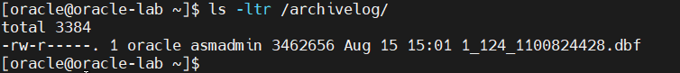 check archive log location 4