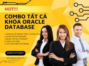 Combo tất cả khóa Oracle Database
